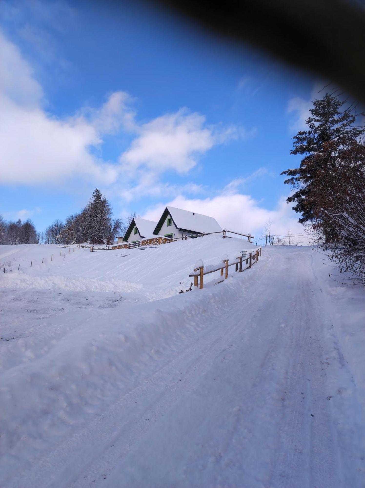 Wichrowe Wzgorze Domek alpejski